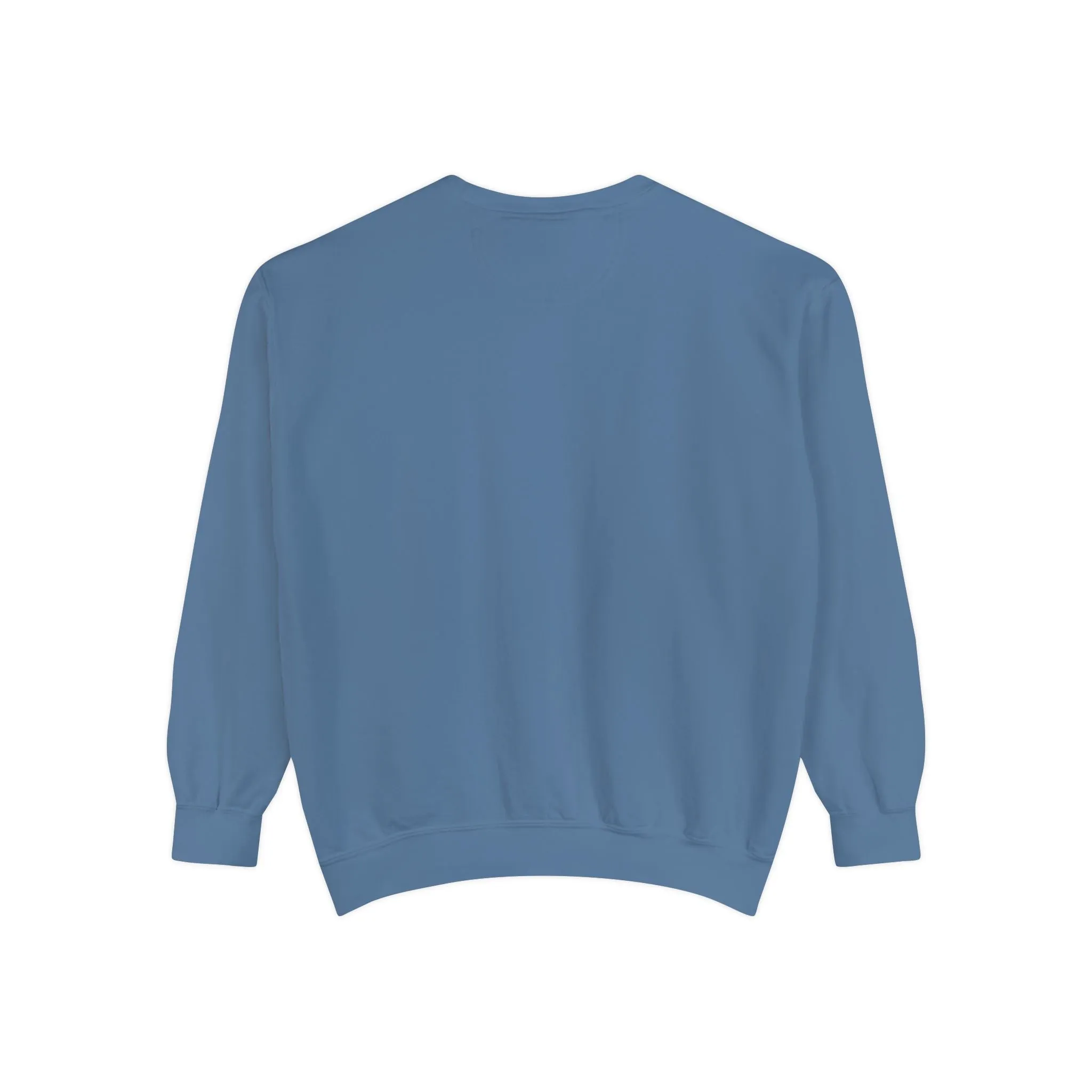 Korea -  Sky Diver Unisex Garment-Dyed Sweatshirt  - StyleMZ